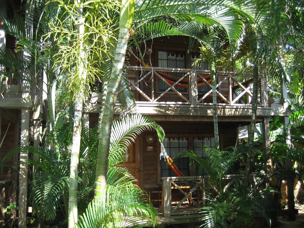 Las Rocas Resort&Dive Center West Bay Exterior foto